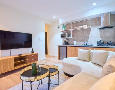 Elegant 1-bedroom open plan Apartment (Achebe) | Lekki Phase 1