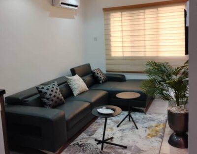 Admirable1-Bedroom with Open Kitchen Design| Lekki Phase 1 (102)
